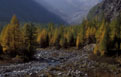 <center>
Le fond de la vallée de Valnontey nous offre son décor d'automne. rivière,mélèzes,massifs alpins 